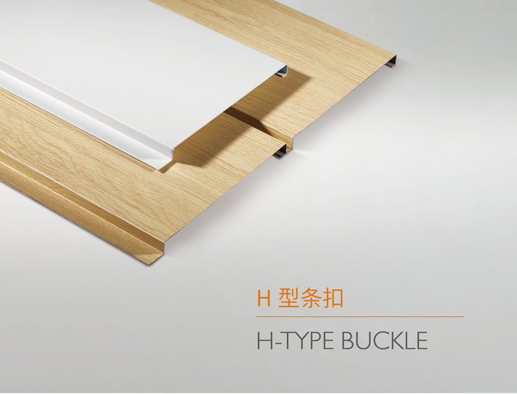 H型条扣_01.jpg